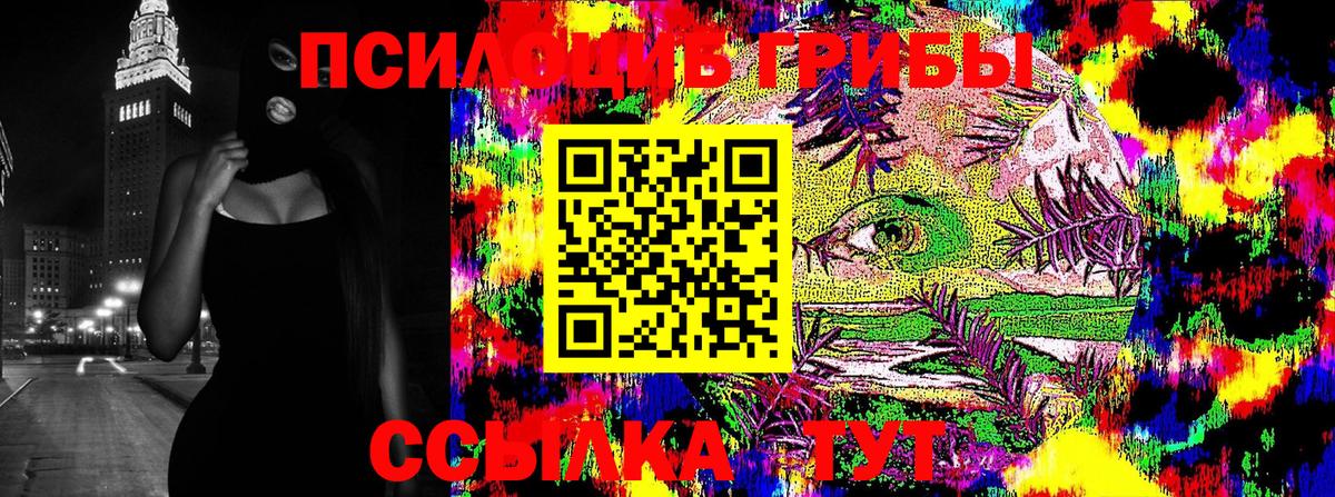 Псилоцибиновые грибы GOLDEN TEACHER  Вход с VPN  Верхняя Пышма 